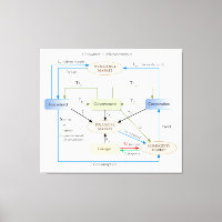 Diagrama de Circulação em Macroeconomia