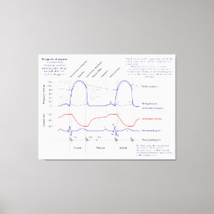 Impressão Em Tela Diagrama de Wiggers
