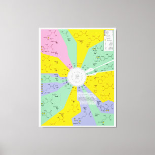 Impressão Em Tela Diagrama do código genético que mostra resíduos