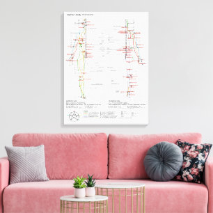 Impressão Em Tela Diagrama Esquemático dos Meridianos Chineses do Co