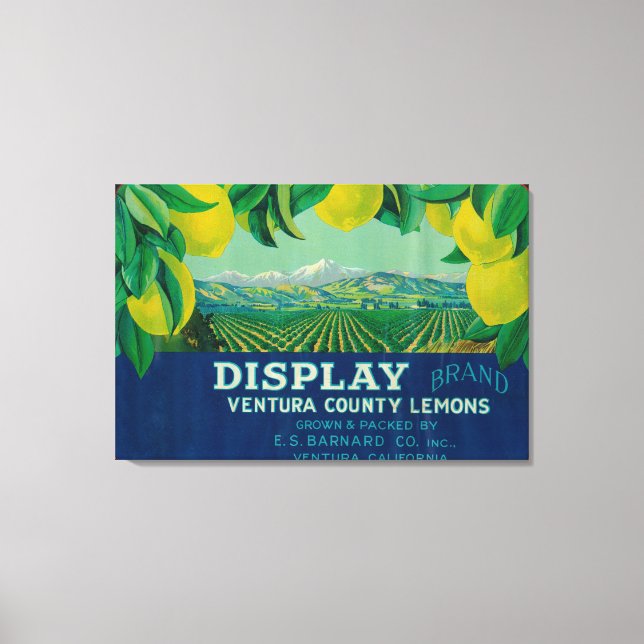 Impressão Em Tela Display Lemon LabelVentura, CA (Frente)