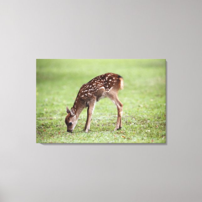 Impressão Em Tela Distrito de Nara, Honshu, Japão 3 (Frente)