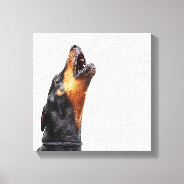 Impressão Em Tela Doberman uivando, fechar (Frente)
