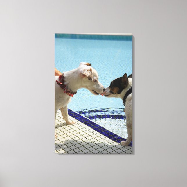 Impressão Em Tela Dois cães beijando no poolside (Frente)
