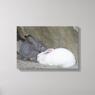 Impressão Em Tela Dois Coelhinhos Bonitinhos
