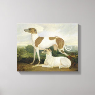 Impressão Em Tela Dois galgos em uma paisagem (óleo em canvas)
