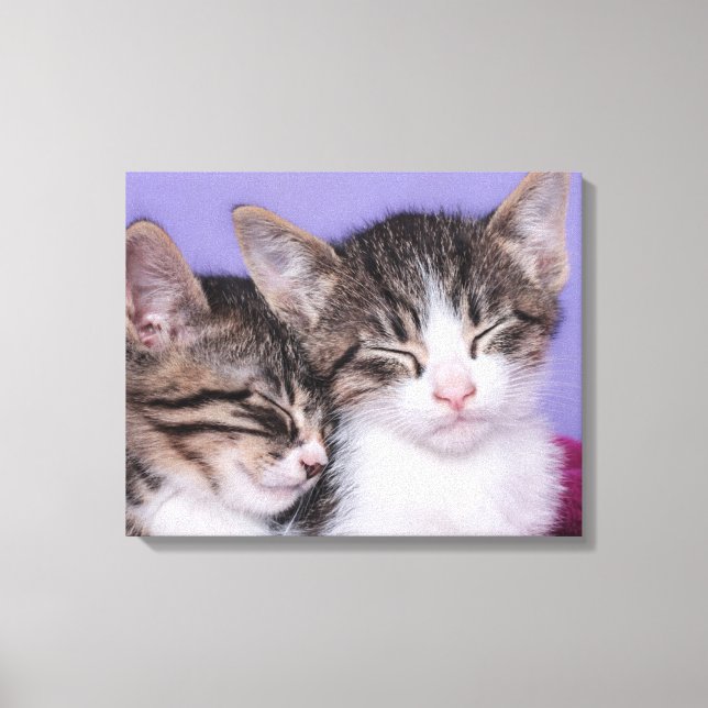 Impressão Em Tela Dois Gatinhos Cutes A Andar (Frente)