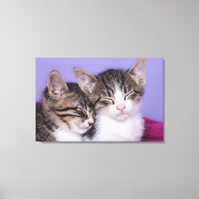 Impressão Em Tela Dois Gatinhos Cutes A Andar (Frente)