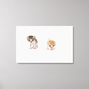 Impressão Em Tela Dois gatinhos no fundo branco