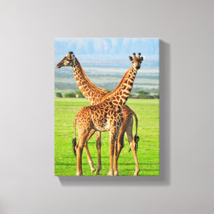 Impressão Em Tela Dois girafas