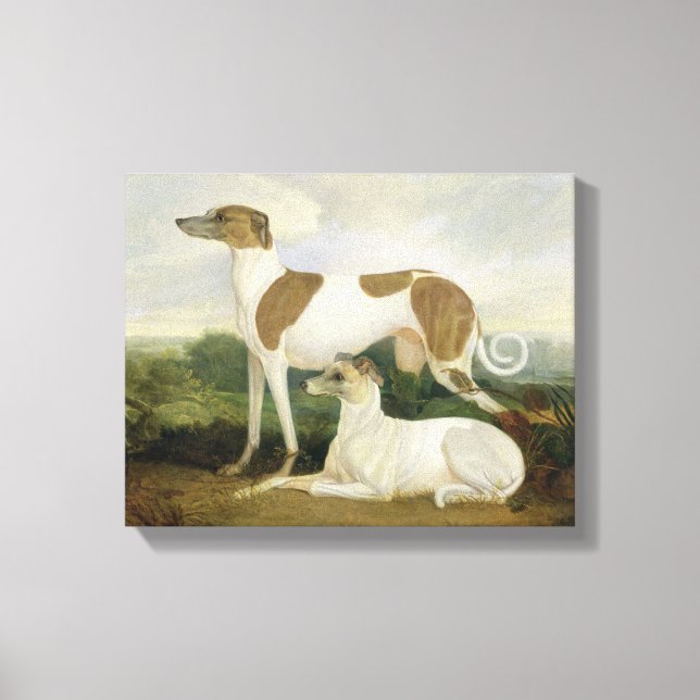 Impressão Em Tela Dois Greyhounds em uma paisagem (óleo na canvas) (Frente)