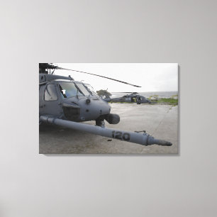 Impressão Em Tela Dois HH-60G pavimentam falcões