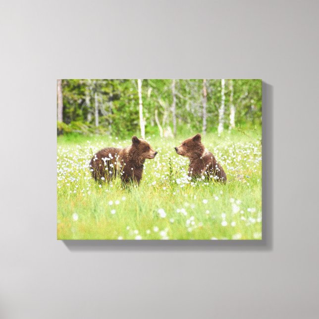 Impressão Em Tela Dois jovens amigos do urso pardo (Frente)
