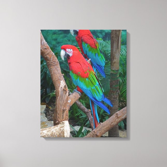 Impressão Em Tela Dois Macaws Vermelhos e Verdes Ara Chloropterus (Frente)