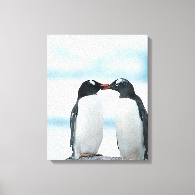 Impressão Em Tela Dois pinguins tocando bicos (Frente)
