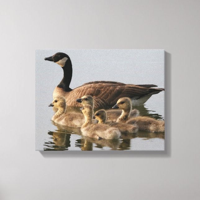 Impressão Em Tela Donativos de aves do Canadá (Frente)