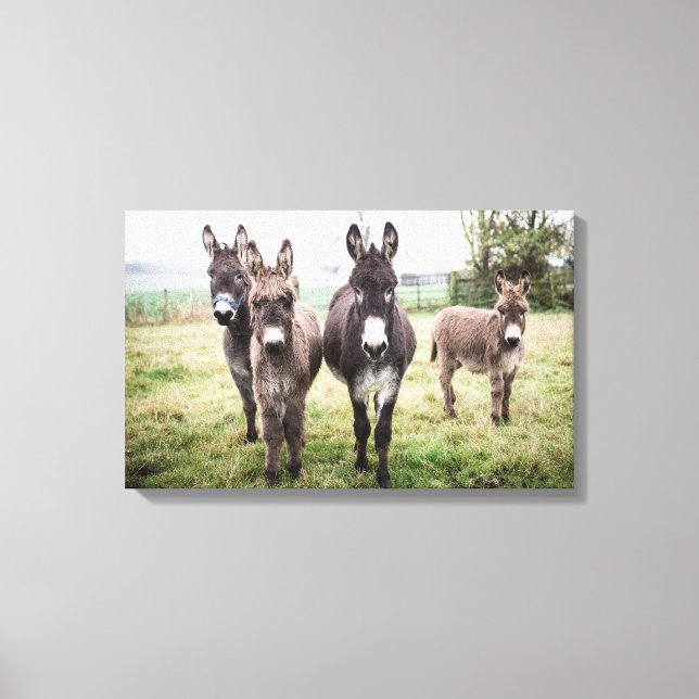 Impressão Em Tela Donkeys (Frente)