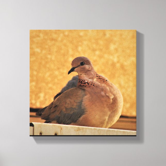 Impressão Em Tela Dove Elegance (Frente)