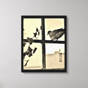 Impressão Em Tela Dove Resting