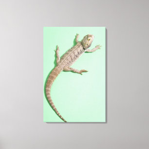 Impressão Em Tela Dragão farpado 2