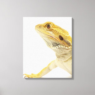 Impressão Em Tela Dragão farpado (Pogona Vitticeps)