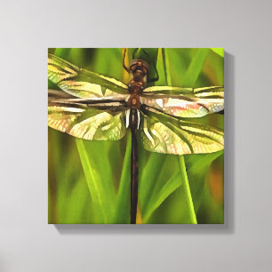 Impressão Em Tela Dragonfly Artística Em Castanho E Amarelo Em Verde