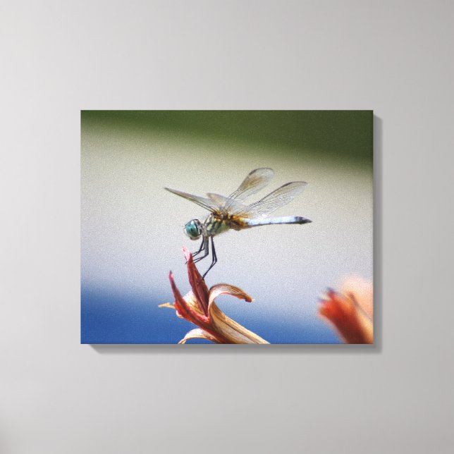 Impressão Em Tela Dragonfly Fechar Fotografia Wall Art (Frente)