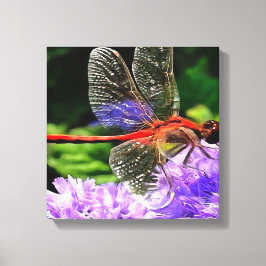 Impressão Em Tela Dragonfly Vermelha em Flores Violetas Roxos
