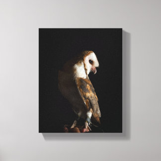 Impressão Em Tela Dramatic Barn Owl Portrait in the Dark