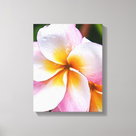 Impressão Em Tela Dream Palette:  franjipani flower
