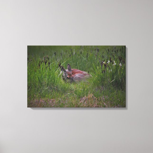 Impressão Em Tela Dreamland (Frente)