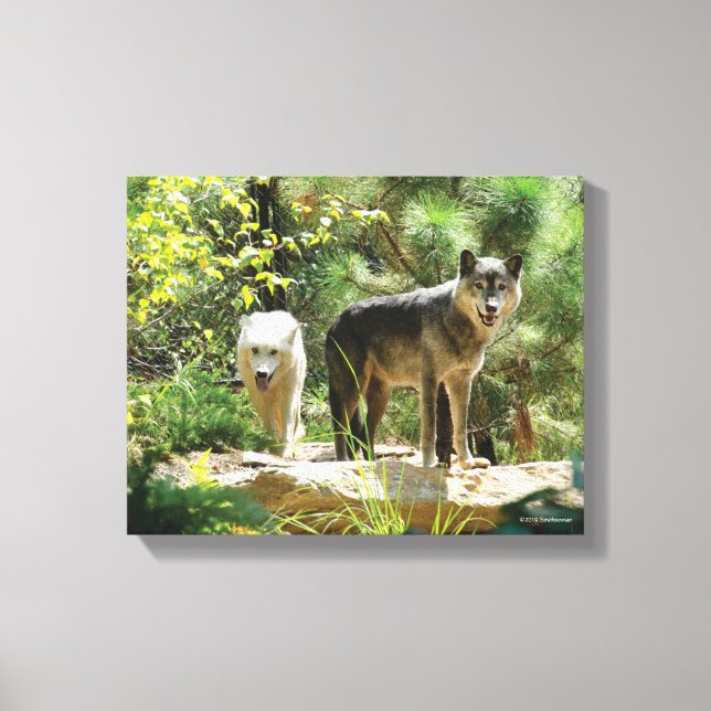 Impressão Em Tela Duas Cinzas na Floresta (Frente)