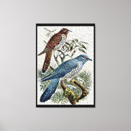 Impressão Em Tela Duas Pássaros Coloridos em Telas Texturadas