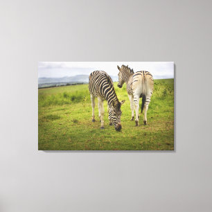 Impressão Em Tela Duas zebras, África do Sul