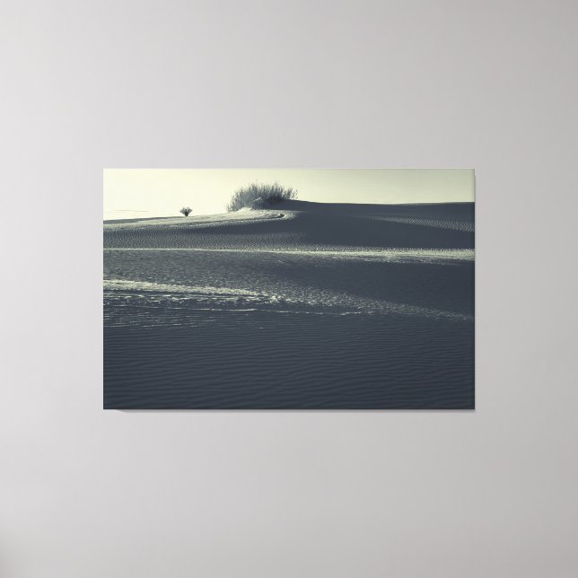 Impressão Em Tela Dunas de Areia com Yucca (Frente)