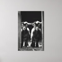 Duo de Bebês Monocromáticos em Pé Junto