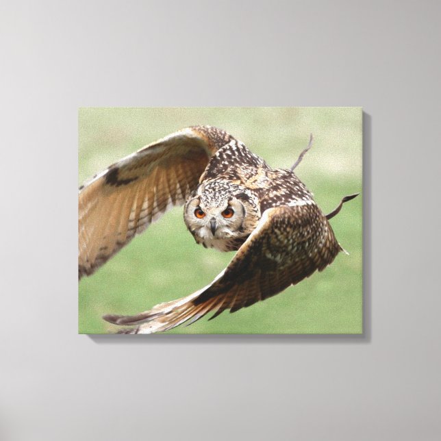 Impressão Em Tela Eagle Owl Em Voo (Frente)