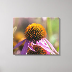 Impressão Em Tela Echinacea Purpurea Purple Coneflower