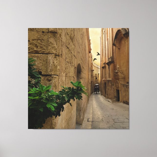 Impressão Em Tela Edifícios E Treinadores De Rua Estreita Medieval (Frente)