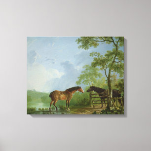 Impressão Em Tela Égua e garanhão em uma paisagem