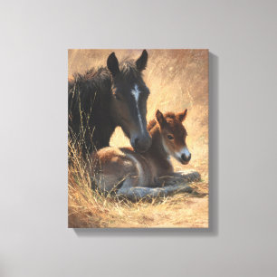 Impressão Em Tela Égua preta com potro pintura rústica