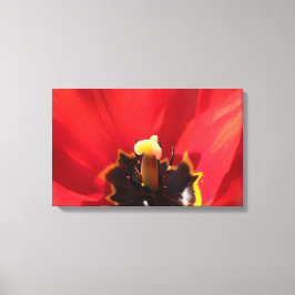 Impressão Em Tela Eindrucksvolles Makro einer Tulpenblüte