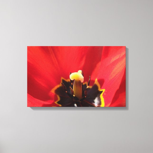 Impressão Em Tela Eindrucksvolles Makro einer Tulpenblüte (Frente)