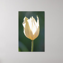 Impressão Em Tela Einfach zum Träumen...