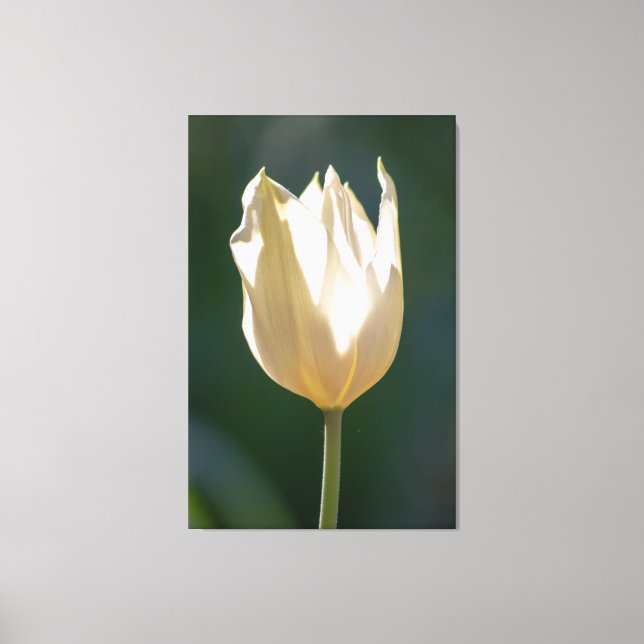 Impressão Em Tela Einfach zum Träumen... (Frente)