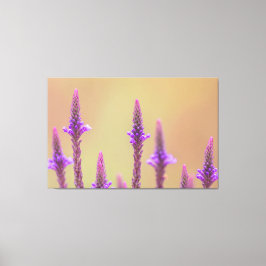 Impressão Em Tela Einfach zum Träumen...