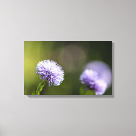 Impressão Em Tela Einfach zum Träumen...