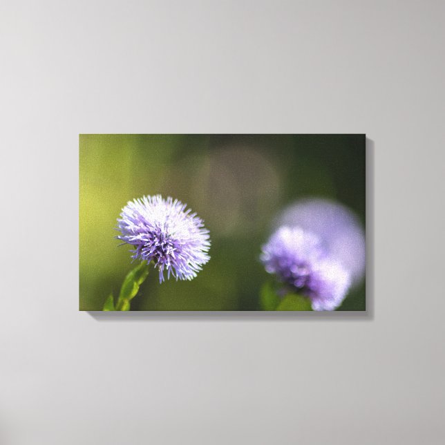 Impressão Em Tela Einfach zum Träumen... (Frente)