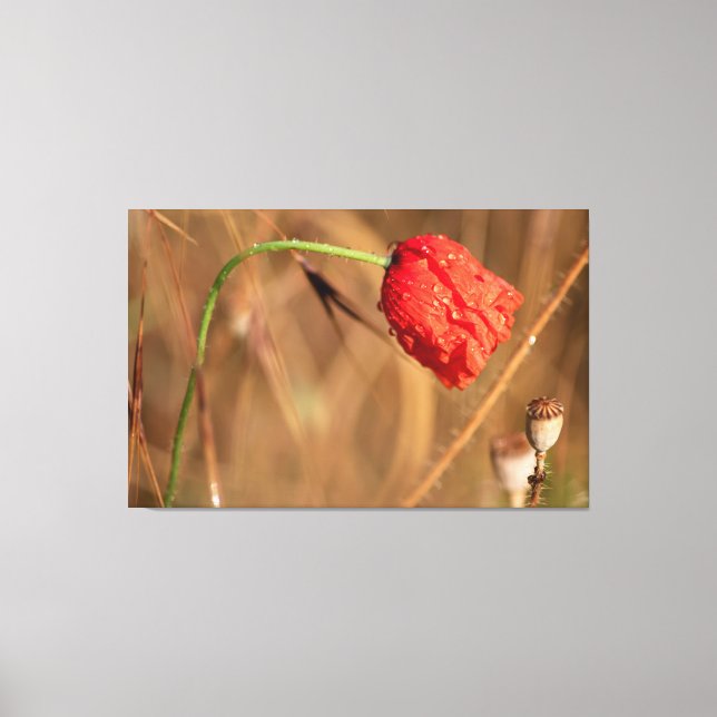 Impressão Em Tela Einfach zum Träumen und Entspannen... (Frente)