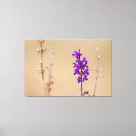 Impressão Em Tela Einfach zum Träumen und Wohlfühlen...